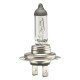 Produs - Bec halogen H7 12V 55W filtru UV (E4) - AutoParadoxSystem.ro