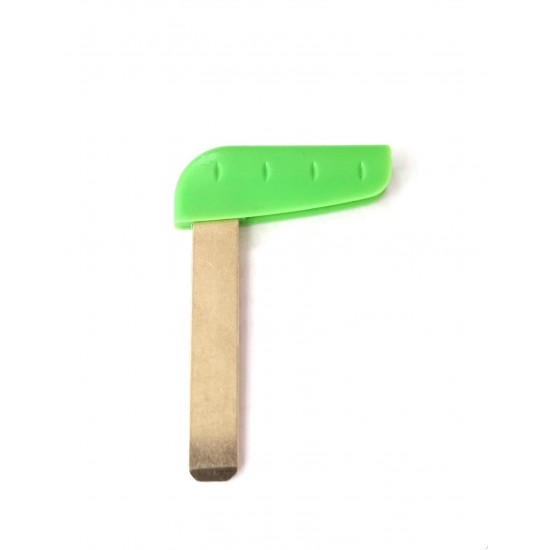 Lamela pentru cartela  Renault Laguna